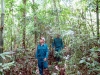 Điểu Ma Giang và Điểu Thớ tuần tra tại một tiểu khu rừng Vườn Quốc gia Bù Gia Mập.