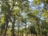 Phê duyệt Đề án dịch vụ môi trường rừng trên địa bàn tỉnh Bình Phước
