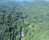 Xây dựng Đề án dịch vụ môi trường rừng để đảm bảo thực hiện  có hiệu quả chính sách chi trả dịch vụ môi trường rừng  trên địa bàn tỉnh Bình Phước.