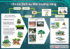 Quy trình chi trả dịch vụ môi trường rừng tại Việt Nam