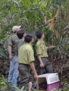 Lực lượng Kiểm lâm Vườn quốc gia Bù Gia Mập phối hợp với cơ quan chức năng thả động vật hoang dã quý hiếm vào rừng. Ảnh: Nguyễn Long - Bình An