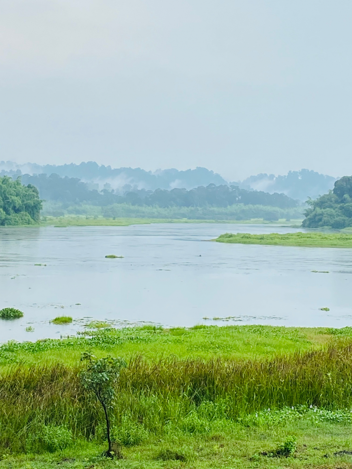 Quy định mới áp dụng hệ số K để làm cơ sở tính toán mức  chi trả dịch vụ môi trường rừng